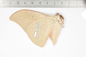  ( - BC-TB1247)  @13 [ ] Copyright (2010) Thierry Bouyer Research Collection of Thierry Bouyer