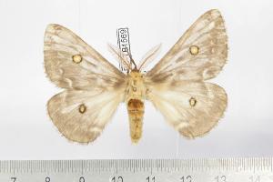  ( - BC-TB1569)  @13 [ ] Copyright (2010) Thierry Bouyer Research Collection of Thierry Bouyer