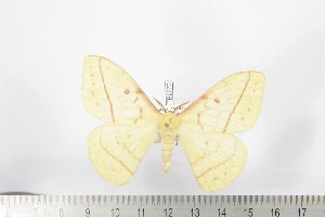  ( - BC-TB2073)  @12 [ ] Copyright (2010) Thierry Bouyer Research Collection of Thierry Bouyer