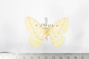  ( - BC-TB2089)  @11 [ ] Copyright (2010) Thierry Bouyer Research Collection of Thierry Bouyer