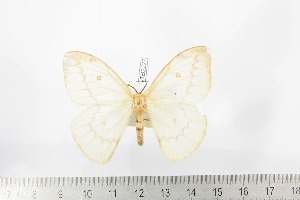  ( - BC-TB2227)  @11 [ ] Copyright (2010) Thierry Bouyer Research Collection of Thierry Bouyer