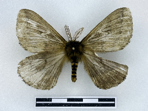  ( - BC-Dec2992)  @11 [ ] by-nc-sa (2025) Thibaud Deca&euml;ns Universite Montpellier, CEFE Lab