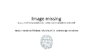  ( - BC-Dec2789)  @11 [ ] CreativeCommons - Attribution Share-Alike (2023) Unspecified Museum national d'Histoire naturelle