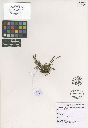  ( - QC2225-1)  @11 [ ] CreativeCommons  Attribution Non-Commercial Share-Alike (2022) Unspecified Beaty Biodiversity Museum
