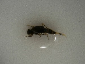  ( - E319-STP)  @11 [ ] CreativeCommons  Attribution Non-Commercial Share-Alike (2025) Daniel Erasmus University of Northern British Columbia