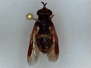  ( - SUAL0230)  @12 [ ] CreativeCommons - Attribution (2016) A Lucas Swansea University