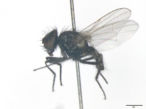  ( - MACN-EN-DIP-00EE12)  @11 [ ] Copyright (2016) MACN Museo Argentino de Ciencias Naturales Bernardino Rivadavia