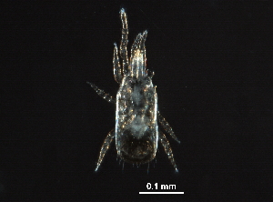  ( - BIOUG24235-H05)  @13 [ ] CreativeCommons - Attribution (2016) CBG Photography Group Centre for Biodiversity Genomics