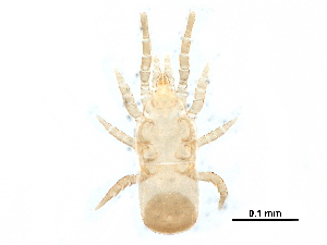  ( - BIOUG24675-B04)  @14 [ ] CreativeCommons - Attribution (2016) CBG Photography Group Centre for Biodiversity Genomics