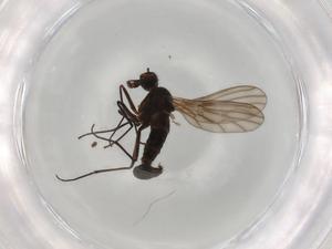  ( - BIOUG91025-E06)  @11 [ ] CreativeCommons - Attribution (2022) Centre for Biodiversity Genomics Centre for Biodiversity Genomics