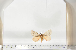  ( - BC-TB6677)  @12 [ ] Copyright (2010) Thierry Bouyer Research Collection of Thierry Bouyer