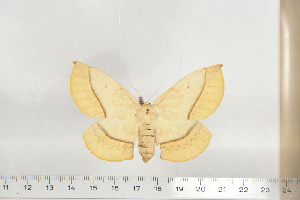  ( - BC-TB6793)  @13 [ ] Copyright (2010) Thierry Bouyer Research Collection of Thierry Bouyer