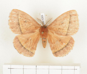  ( - CTBB-1009)  @11 [ ] Copyright (2013) Thierry Bouyer Research Collection of Thierry Bouyer