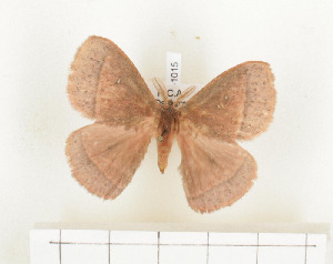  ( - CTBB-1015)  @11 [ ] Copyright (2013) Thierry Bouyer Research Collection of Thierry Bouyer