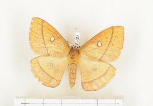  ( - CTBB-1027)  @13 [ ] Copyright (2013) Thierry Bouyer Research Collection of Thierry Bouyer