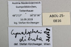  ( - ABOL-25-0816)  @11 [ ] Unspecified (default): All Rights Reserved (2025) Stefan Kirchweger Unspecified