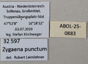  ( - ABOL-25-0883)  @11 [ ] Unspecified (default): All Rights Reserved (2025) Stefan Kirchweger Unspecified