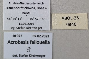  ( - ABOL-25-0846)  @11 [ ] Unspecified (default): All Rights Reserved (2025) Stefan Kirchweger Unspecified