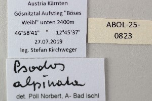  ( - ABOL-25-0823)  @11 [ ] Unspecified (default): All Rights Reserved (2025) Stefan Kirchweger Unspecified