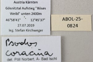  ( - ABOL-25-0824)  @11 [ ] Unspecified (default): All Rights Reserved (2025) Stefan Kirchweger Unspecified