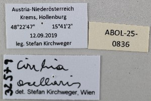  ( - ABOL-25-0836)  @11 [ ] Unspecified (default): All Rights Reserved (2025) Stefan Kirchweger Unspecified