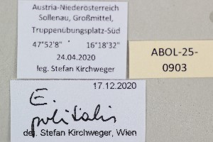  ( - ABOL-25-0903)  @11 [ ] Unspecified (default): All Rights Reserved (2025) Stefan Kirchweger Unspecified