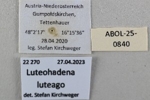  ( - ABOL-25-0840)  @11 [ ] Unspecified (default): All Rights Reserved (2025) Stefan Kirchweger Unspecified