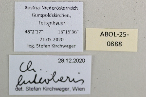  ( - ABOL-25-0888)  @11 [ ] Unspecified (default): All Rights Reserved (2025) Stefan Kirchweger Unspecified