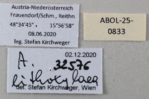  ( - ABOL-25-0833)  @11 [ ] Unspecified (default): All Rights Reserved (2025) Stefan Kirchweger Unspecified