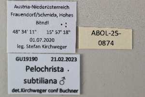  ( - ABOL-25-0874)  @11 [ ] Unspecified (default): All Rights Reserved (2025) Stefan Kirchweger Unspecified