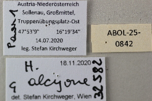  ( - ABOL-25-0842)  @11 [ ] Unspecified (default): All Rights Reserved (2025) Stefan Kirchweger Unspecified