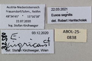  ( - ABOL-25-0838)  @11 [ ] Unspecified (default): All Rights Reserved (2025) Stefan Kirchweger Unspecified