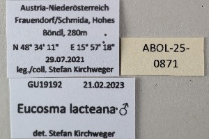  ( - ABOL-25-0871)  @11 [ ] Unspecified (default): All Rights Reserved (2025) Stefan Kirchweger Unspecified