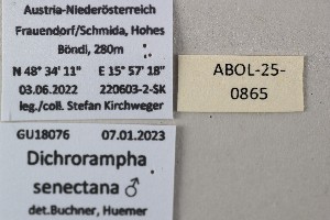  ( - ABOL-25-0865)  @11 [ ] Unspecified (default): All Rights Reserved (2025) Stefan Kirchweger Unspecified