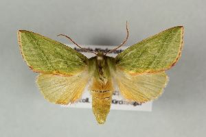  ( - 21-0147)  @13 [ ] CC BY SA (2022) Kirchweger S private