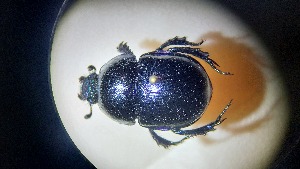  ( - ABDR24_195)  @11 [ ] Unspecified (default): All Rights Reserved (2025) Dominik Rabl Unspecified