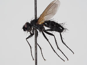  ( - ABOL-24-1285)  @11 [ ] Unspecified (default): All Rights Reserved (2024) Naturhistorisches Museum Wien Naturhistorisches Museum Wien