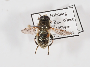  ( - ABOL-25-1381)  @11 [ ] Unspecified (default): All Rights Reserved (2025) Naturhistorisches Museum Wien Unspecified