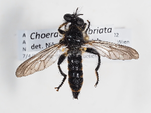  ( - ABOL-Tettris-2024-Szucsich-LeoBg-0002)  @11 [ ] Unspecified (default): All Rights Reserved (2025) Naturhistorisches Museum Wien Unspecified