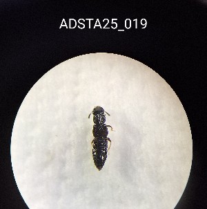  ( - ADSTA25_019)  @11 [ ] Unspecified (default): All Rights Reserved (2025) Dominik Rabl Unspecified