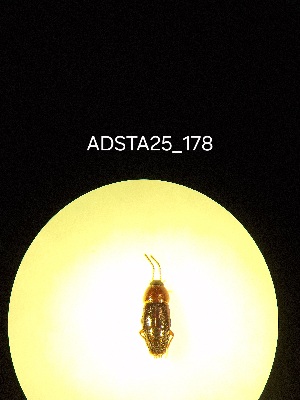  ( - ADSTA25_178)  @11 [ ] Unspecified (default): All Rights Reserved (2025) Dominik Rabl Unspecified