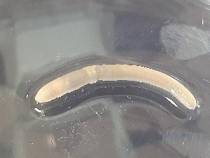  ( - ABOL-25-0321)  @11 [ ] Unspecified (default): All Rights Reserved (2025) Edith Gruber Unspecified