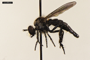  ( - NF-24-003)  @11 [ ] Unspecified (default): All Rights Reserved (2024) Natural history museum Vienna Unspecified