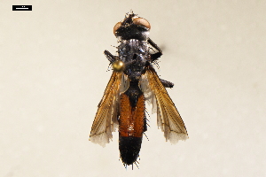  ( - NF-24-005)  @11 [ ] Unspecified (default): All Rights Reserved (2024) Natural history museum Vienna Unspecified
