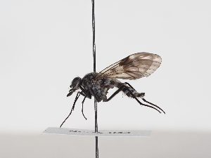  ( - NF-25-043)  @11 [ ] Unspecified (default): All Rights Reserved (2025) Naturhistorisches Museum Wien Unspecified