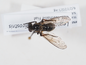  ( - NF-25-097)  @11 [ ] Unspecified (default): All Rights Reserved (2025) Naturhistorisches Museum Wien Unspecified