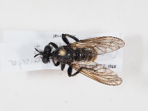  ( - NF-25-102)  @11 [ ] Unspecified (default): All Rights Reserved (2025) Naturhistorisches Museum Wien Unspecified