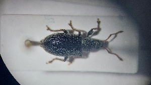  ( - RDRB24_196)  @11 [ ] Unspecified (default): All Rights Reserved (2025) Dominik Rabl Unspecified