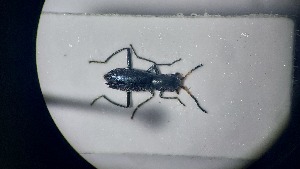  ( - RDRB24_205)  @11 [ ] Unspecified (default): All Rights Reserved (2025) Dominik Rabl Unspecified