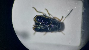  ( - RDRB24_207)  @11 [ ] Unspecified (default): All Rights Reserved (2025) Dominik Rabl Unspecified